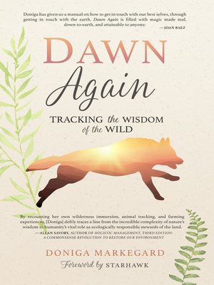 cover image of Dawn Again